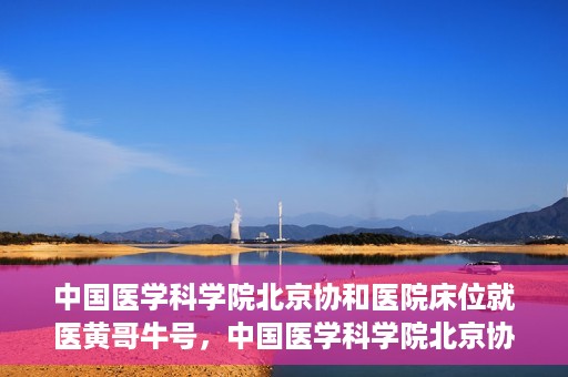 中国医学科学院北京协和医院床位就医黄哥牛号，中国医学科学院北京协和医院床位就医攻略，黄哥牛号助您轻松挂号就医
