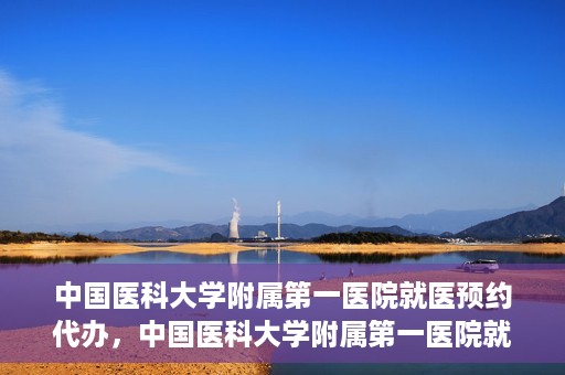 中国医科大学附属第一医院就医预约代办，中国医科大学附属第一医院就医预约代办服务详解