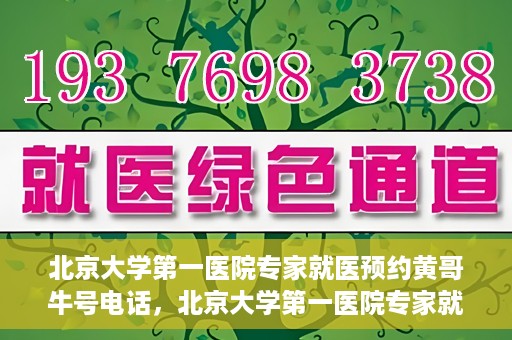 北京大学第一医院专家就医预约黄哥牛号电话，北京大学第一医院专家就医预约热线黄哥牛号电话全攻略