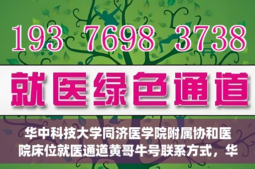 华中科技大学同济医学院附属协和医院床位就医通道黄哥牛号联系方式，华中科技大学同济医学院附属协和医院床位就医通道详解，黄哥牛号联系方式揭秘