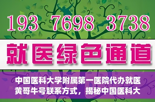 中国医科大学附属第一医院代办就医黄哥牛号联系方式，揭秘中国医科大学附属第一医院代办就医联系人黄哥牛号联系方式，专业服务的背后故事