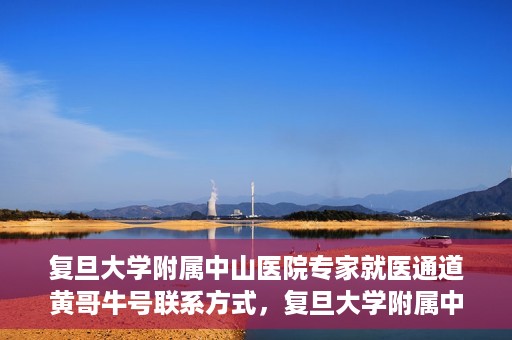 复旦大学附属中山医院专家就医通道黄哥牛号联系方式，复旦大学附属中山医院专家就医通道，黄哥牛号联系方式全解析