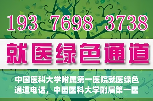 中国医科大学附属第一医院就医绿色通道电话，中国医科大学附属第一医院就医绿色通道服务热线电话解析及介绍
