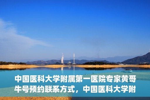 中国医科大学附属第一医院专家黄哥牛号预约联系方式，中国医科大学附属第一医院黄哥牛专家号预约联系方式及指南