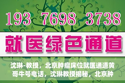 沈琳-教授，北京肿瘤床位就医通道黄哥牛号电话，沈琳教授揭秘，北京肿瘤床位就医通道与黄哥牛号电话的权威解读