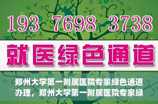 郑州大学第一附属医院专家绿色通道办理，郑州大学第一附属医院专家绿色通道办理详解，一站式服务体验与高效就医流程