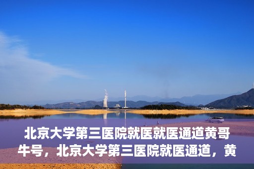 北京大学第三医院就医就医通道黄哥牛号，北京大学第三医院就医通道，黄哥牛号助您便捷就医体验