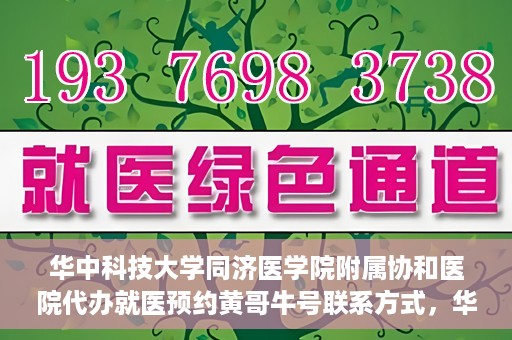 华中科技大学同济医学院附属协和医院代办就医预约黄哥牛号联系方式，华中科技大学同济医学院附属协和医院预约挂号联系方式揭秘，黄哥牛号助您轻松预约就医服务
