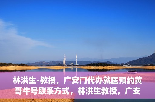 林洪生-教授，广安门代办就医预约黄哥牛号联系方式，林洪生教授，广安门就医预约背后的故事，黄哥牛号联系方式揭秘