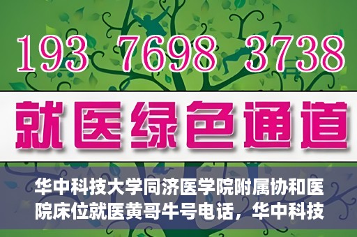 华中科技大学同济医学院附属协和医院床位就医黄哥牛号电话，华中科技大学同济医学院附属协和医院床位就医信息及黄哥牛号联系电话揭秘