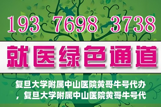 复旦大学附属中山医院黄哥牛号代办，复旦大学附属中山医院黄哥牛号代办，权威医疗资源的深度解读与便捷服务体验