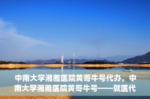 中南大学湘雅医院黄哥牛号代办，中南大学湘雅医院黄哥牛号——就医代办服务详解