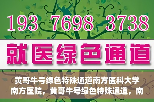 黄哥牛号绿色特殊通道南方医科大学南方医院，黄哥牛号绿色特殊通道，南方医科大学南方医院的探索与实践