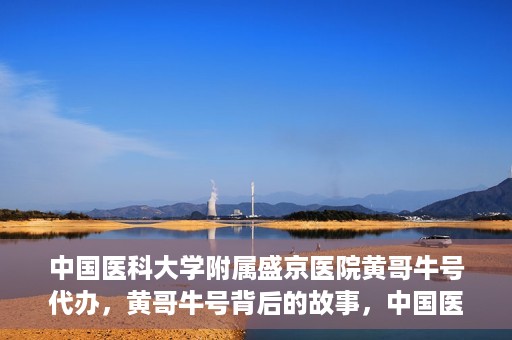 中国医科大学附属盛京医院黄哥牛号代办，黄哥牛号背后的故事，中国医科大学附属盛京医院的信赖之选