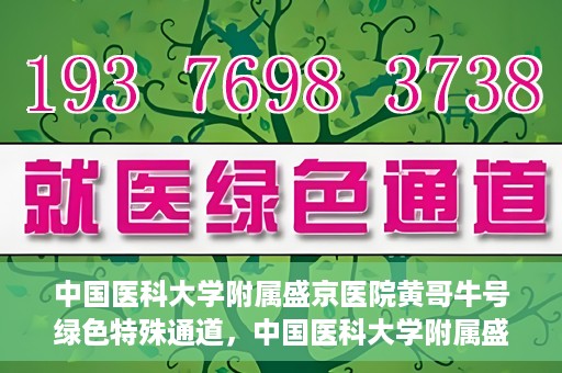中国医科大学附属盛京医院黄哥牛号绿色特殊通道，中国医科大学附属盛京医院黄哥牛号，绿色特殊通道开启健康之门