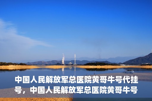 中国人民解放军总医院黄哥牛号代挂号，中国人民解放军总医院黄哥牛号代挂号解析，揭秘挂号背后的故事