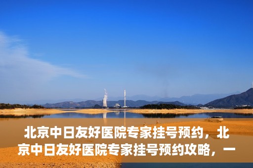 北京中日友好医院专家挂号预约，北京中日友好医院专家挂号预约攻略，一站式解决您的就医难题