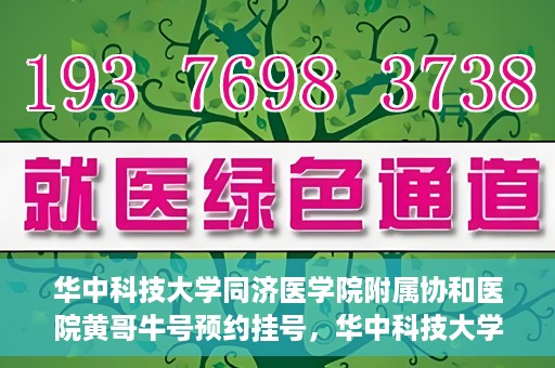 华中科技大学同济医学院附属协和医院黄哥牛号预约挂号，华中科技大学同济医学院附属协和医院黄哥牛号预约挂号攻略解析