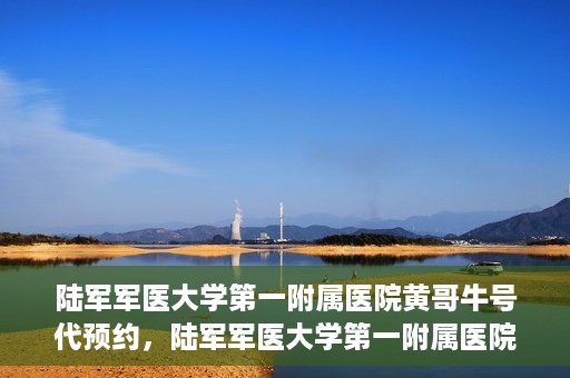 陆军军医大学第一附属医院黄哥牛号代预约，陆军军医大学第一附属医院预约系统升级，黄哥牛号预约服务上线