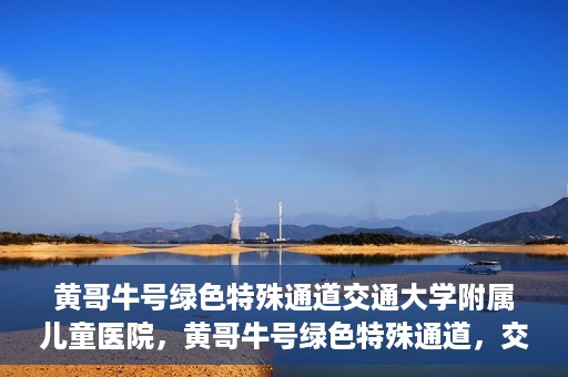 黄哥牛号绿色特殊通道交通大学附属儿童医院，黄哥牛号绿色特殊通道，交通大学附属儿童医院的探索与实践
