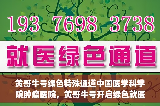 黄哥牛号绿色特殊通道中国医学科学院肿瘤医院，黄哥牛号开启绿色就医通道，中国医学科学院肿瘤医院专注诊疗新篇章
