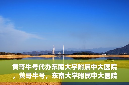 黄哥牛号代办东南大学附属中大医院，黄哥牛号，东南大学附属中大医院代办服务