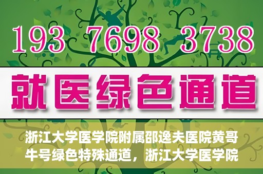 浙江大学医学院附属邵逸夫医院黄哥牛号绿色特殊通道，浙江大学医学院附属邵逸夫医院绿色特殊通道，黄哥牛号的传奇之路