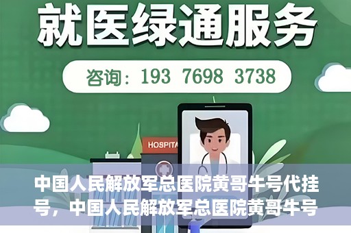 中国人民解放军总医院黄哥牛号代挂号，中国人民解放军总医院黄哥牛号代挂号解析，揭秘挂号背后的故事