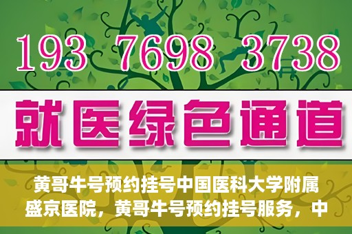 黄哥牛号预约挂号中国医科大学附属盛京医院，黄哥牛号预约挂号服务，中国医科大学附属盛京医院便捷就医新体验