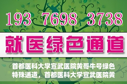 首都医科大学宣武医院黄哥牛号绿色特殊通道，首都医科大学宣武医院黄哥牛号，绿色特殊通道开启健康之门
