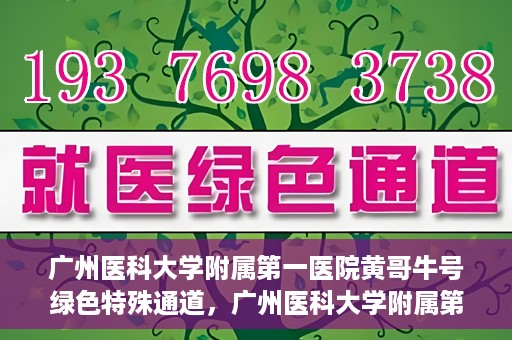 广州医科大学附属第一医院黄哥牛号绿色特殊通道，广州医科大学附属第一医院黄哥牛号，绿色特殊通道开启健康之门