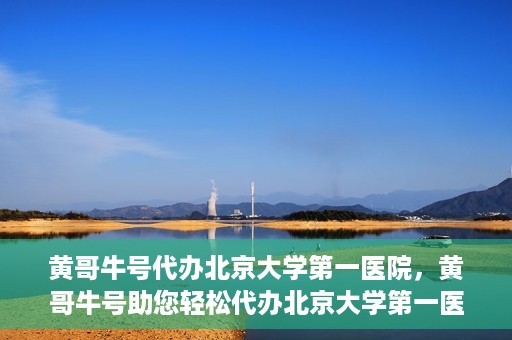 黄哥牛号代办北京大学第一医院，黄哥牛号助您轻松代办北京大学第一医院事务
