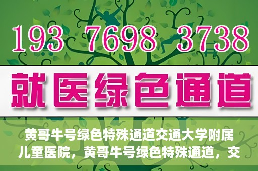 黄哥牛号绿色特殊通道交通大学附属儿童医院，黄哥牛号绿色特殊通道，交通大学附属儿童医院的探索与实践