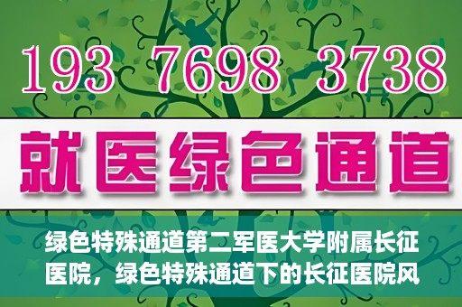 绿色特殊通道第二军医大学附属长征医院，绿色特殊通道下的长征医院风采——第二军医大学附属长征医院探索与实践