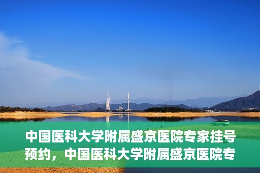 中国医科大学附属盛京医院专家挂号预约，中国医科大学附属盛京医院专家挂号预约攻略，一站式预约服务解析