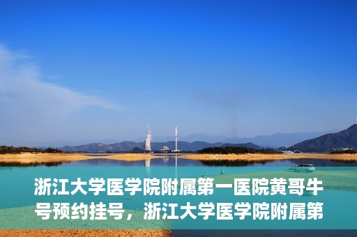 浙江大学医学院附属第一医院黄哥牛号预约挂号，浙江大学医学院附属第一医院黄哥牛号预约挂号攻略详解
