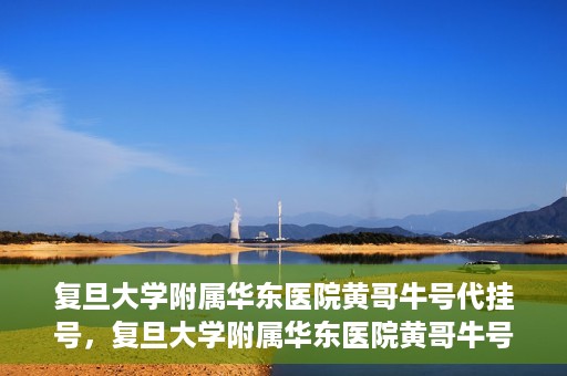 复旦大学附属华东医院黄哥牛号代挂号，复旦大学附属华东医院黄哥牛号代挂号解析与体验分享