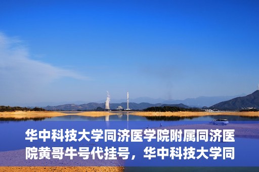 华中科技大学同济医学院附属同济医院黄哥牛号代挂号，华中科技大学同济医院黄哥牛号代挂号背后的故事