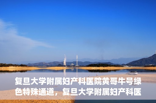 复旦大学附属妇产科医院黄哥牛号绿色特殊通道，复旦大学附属妇产科医院黄哥牛号，绿色特殊通道开启健康之门