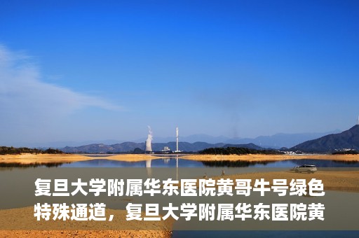 复旦大学附属华东医院黄哥牛号绿色特殊通道，复旦大学附属华东医院黄哥牛号，绿色特殊通道开启健康之门