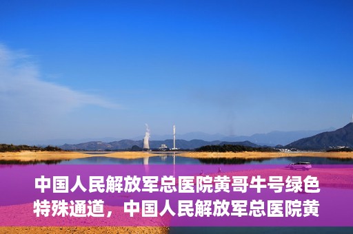 中国人民解放军总医院黄哥牛号绿色特殊通道，中国人民解放军总医院黄哥牛号，绿色特殊通道开启健康之门