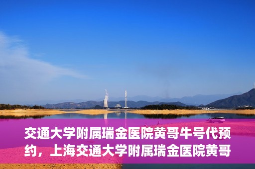 交通大学附属瑞金医院黄哥牛号代预约，上海交通大学附属瑞金医院黄哥牛号预约服务解析