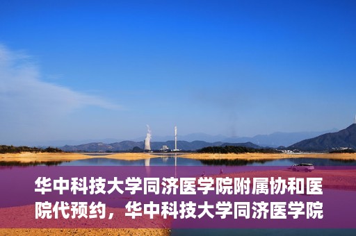 华中科技大学同济医学院附属协和医院代预约，华中科技大学同济医学院附属协和医院便捷代预约服务解析