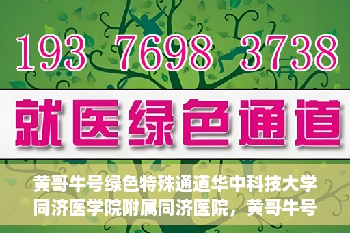 黄哥牛号绿色特殊通道华中科技大学同济医学院附属同济医院，黄哥牛号绿色特殊通道，华中科技大学同济医学院附属同济医院的探索与实践