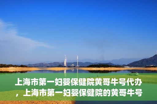 上海市第一妇婴保健院黄哥牛号代办，上海市第一妇婴保健院的黄哥牛号代办服务解析