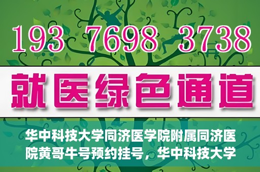 华中科技大学同济医学院附属同济医院黄哥牛号预约挂号，华中科技大学同济医院黄哥牛号预约挂号攻略