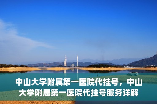 中山大学附属第一医院代挂号，中山大学附属第一医院代挂号服务详解