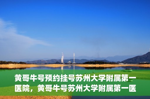 黄哥牛号预约挂号苏州大学附属第一医院，黄哥牛号苏州大学附属第一医院预约挂号攻略