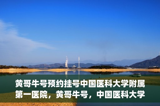 黄哥牛号预约挂号中国医科大学附属第一医院，黄哥牛号，中国医科大学附属第一医院预约挂号服务启动