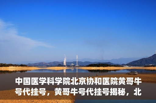 中国医学科学院北京协和医院黄哥牛号代挂号，黄哥牛号代挂号揭秘，北京协和医院挂号背后的故事